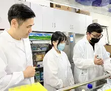 散人岛kffojvitbf8fkco