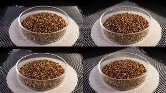 瀵屽＋鏂戒箰m228db