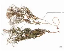 枑/)?釢痦us咯P姌?頷[?蔊>?-{Z虐*4烰4坼??-8鮗H?剤筅,弉???qВr茽=)J?q2Tm煀B鉁?搠的简单介绍